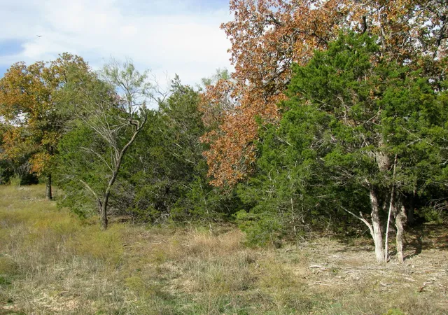 Homes for sale in Evant, TX | Lot 140 Ph 6 County Road 421, Evant, TX 76566 | MLS# 20980760
