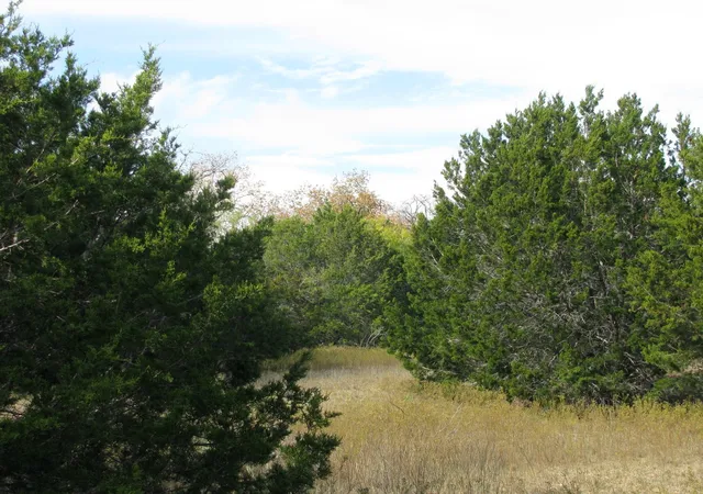 Homes for sale in Evant, TX | Lot 140 Ph 6 County Road 421, Evant, TX 76566 | MLS# 20980760