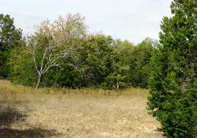 Homes for sale in Evant, TX | Lot 140 Ph 6 County Road 421, Evant, TX 76566 | MLS# 20980760