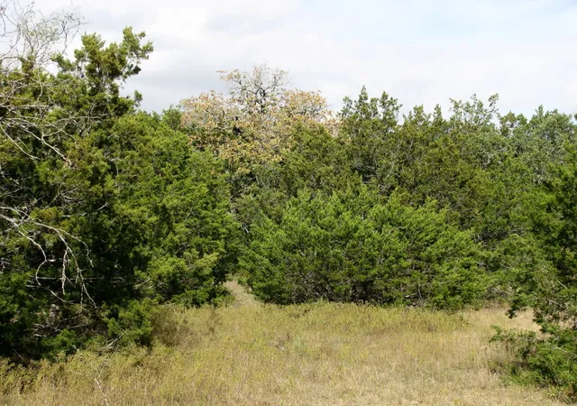 Homes for sale in Evant, TX | Lot 140 Ph 6 County Road 421, Evant, TX 76566 | MLS# 20980760