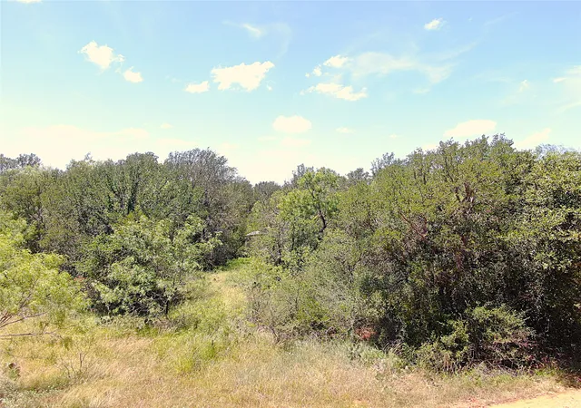 Homes for sale in Early, TX | 1921 Fm 2126, Early, TX 76802 | MLS# 20982716