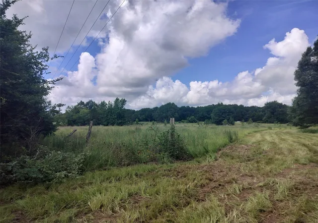 Homes for sale in Oakwood, TX | Tbd Fcr 280, Oakwood, TX 75855 | MLS# 20972244