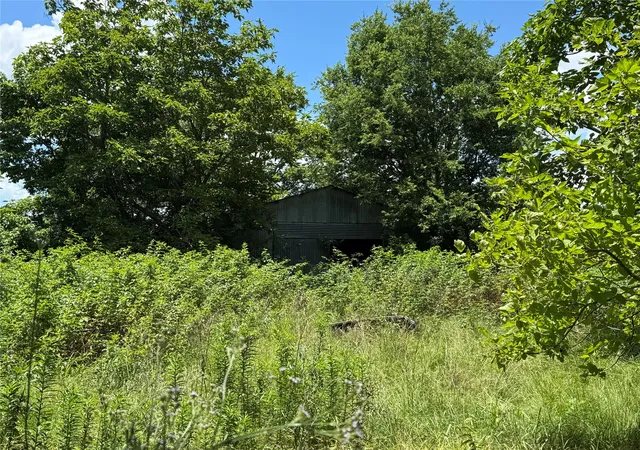 14th image of Tbd County Road 3925, Mount Pleasant, TX 75455 | MLS# 20982339