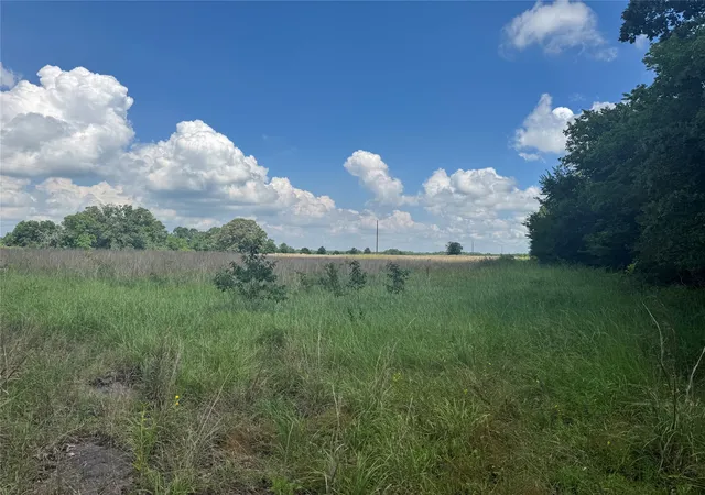 2nd image of Tbd County Road 3925, Mount Pleasant, TX 75455 | MLS# 20982339