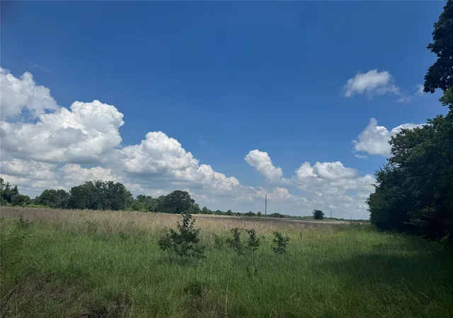 4th image of Tbd County Road 3925, Mount Pleasant, TX 75455 | MLS# 20982339