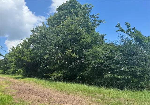 5th image of Tbd County Road 3925, Mount Pleasant, TX 75455 | MLS# 20982339
