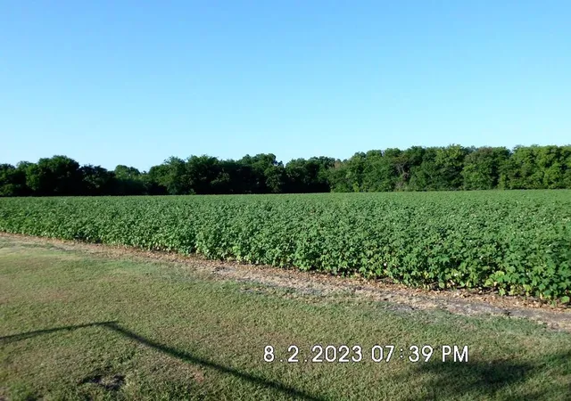 Photo 2 of Land for sale at Tbd Fm 744, Malone, TX 76660 | MLS# 20978673 | Listing updated on 2026-07-25