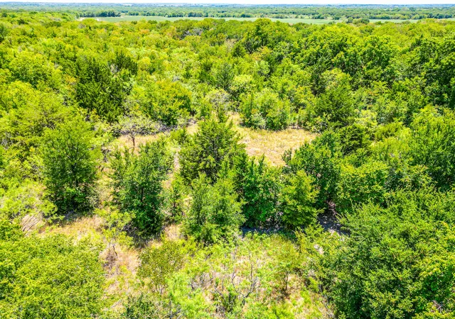 Homes for sale in Malone, TX | Tbd Fm 744, Malone, TX 76660 | MLS# 20978673