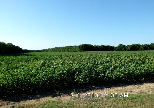 Homes for sale in Malone, TX | Tbd Fm 744, Malone, TX 76660 | MLS# 20978673