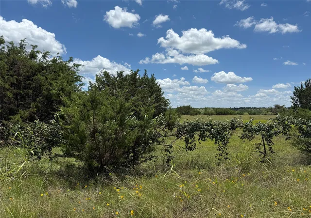 Homes for sale in Clifton, TX | Tbd Private Road 1743b, Clifton, TX 76634 | MLS# 20987177