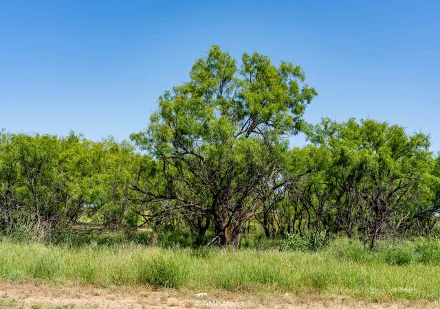 Homes for sale in Rotan, TX | Fm 2142 Fm 2142, Rotan, TX 79546 | MLS# 20956864
