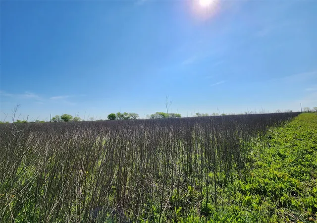 Homes for sale in Blum, TX | Tba Private Road 196, Blum, TX 76627 | MLS# 20988144