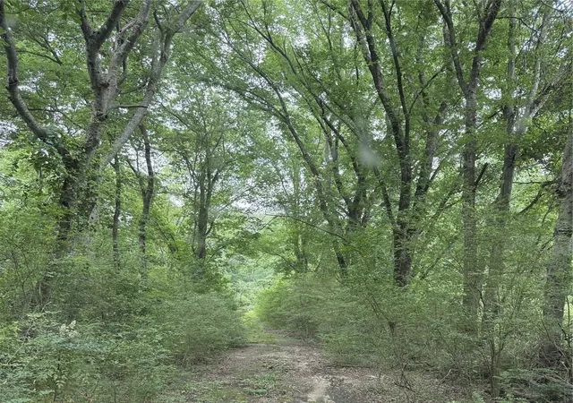 Photo 1 of Land for sale at 32 Acres County Road 2324, Como, TX 75431 | MLS# 20978561 | Listing updated on 2026-10-01