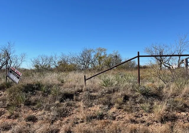 Homes for sale in Merkel, TX | Tbd1 County Road 405, Merkel, TX 79536 | MLS# 20992566