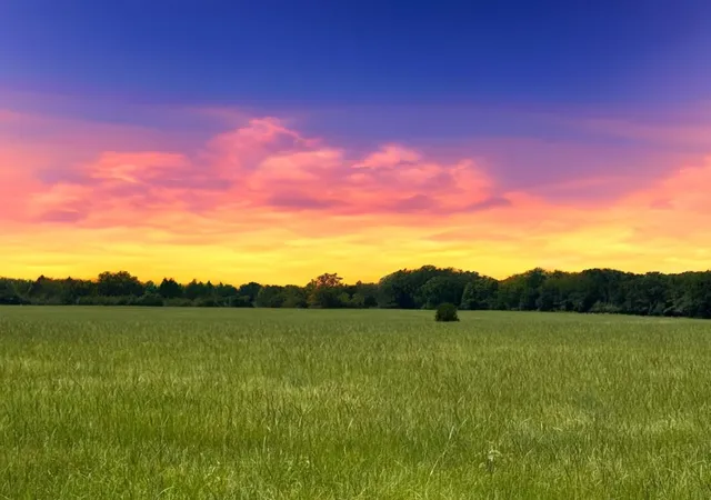 Photo 1 of Land for sale at 12675 County Road 2922, Eustace, TX 75124 | MLS# 20978243 | Listing updated on 2026-07-09