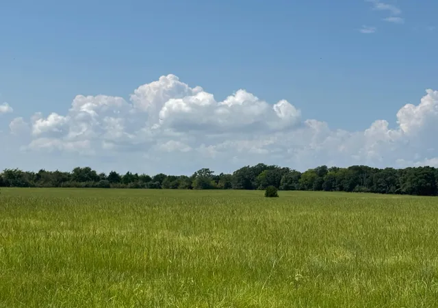 Photo 3 of Land for sale at 12675 County Road 2922, Eustace, TX 75124 | MLS# 20978243 | Listing updated on 2026-07-09