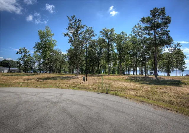Homes for sale in Chandler, TX | 20609 Wycliff Dr, Chandler, TX 75758 | MLS# 20984838