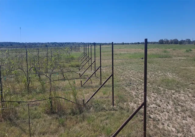 Photo 2 of Land for sale at 809 Coyote Trl #Lot 1, Richland Springs, TX 76871 | MLS# 20993477 | Listing updated on 2026-07-24