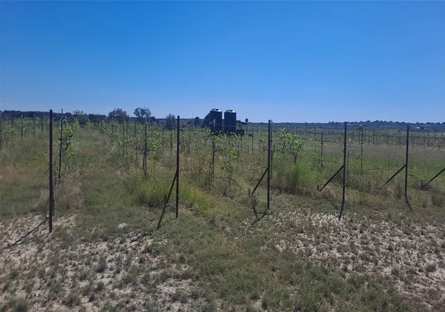 Photo 3 of Land for sale at 809 Coyote Trl #Lot 1, Richland Springs, TX 76871 | MLS# 20993477 | Listing updated on 2026-07-24