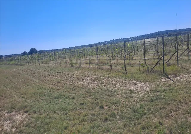 Photo 4 of Land for sale at 809 Coyote Trl #Lot 1, Richland Springs, TX 76871 | MLS# 20993477 | Listing updated on 2026-07-24