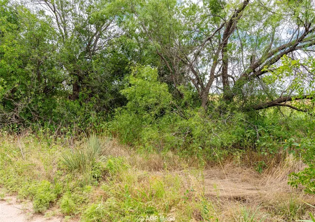 Homes for sale in Hawley, TX | Tbd Private Ln, Hawley, TX 79525 | MLS# 20993527