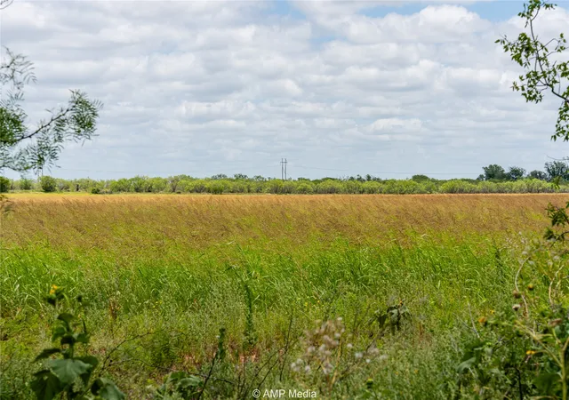 Homes for sale in Hawley, TX | Tbd Private Ln, Hawley, TX 79525 | MLS# 20993527