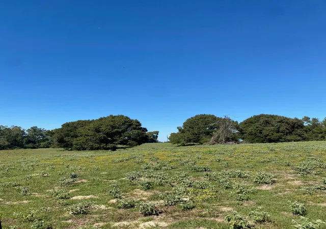 Homes for sale in Oakwood, TX | 009 County Rd 242, Oakwood, TX 75855 | MLS# 20994704