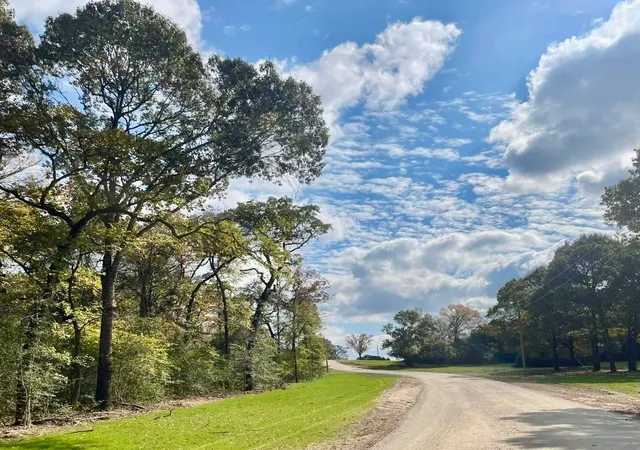 Homes for sale in Oakwood, TX | 009 County Rd 242, Oakwood, TX 75855 | MLS# 20994704