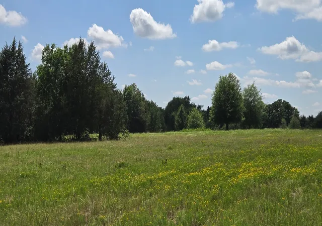 Photo 3 of Land for sale at 12077 County Road 1200, Malakoff, TX 75148 | MLS# 20995186 | Listing updated on 2026-08-26