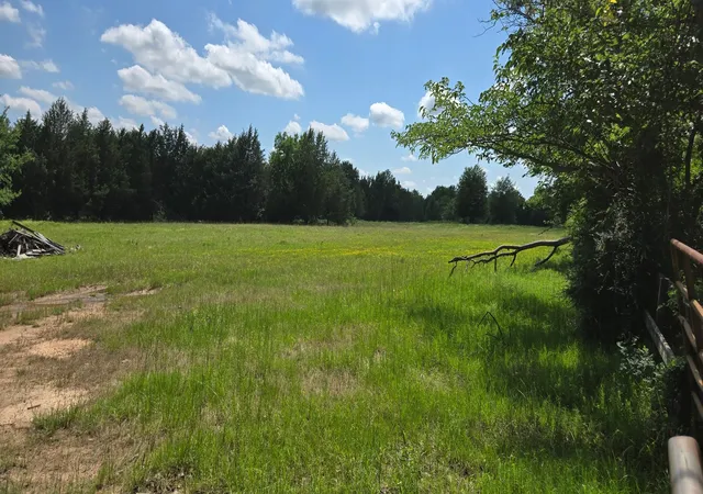 Photo 3 of Land for sale at 12077 County Road 1200, Malakoff, TX 75148 | MLS# 20995186 | Listing updated on 2026-08-26