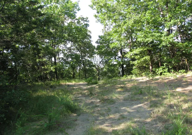 1st image of Tbd N 4309 Ln, Tuskahoma, OK 74574 | MLS# 20969750