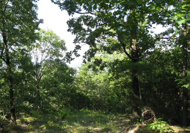 2nd image of Tbd N 4309 Ln, Tuskahoma, OK 74574 | MLS# 20969750