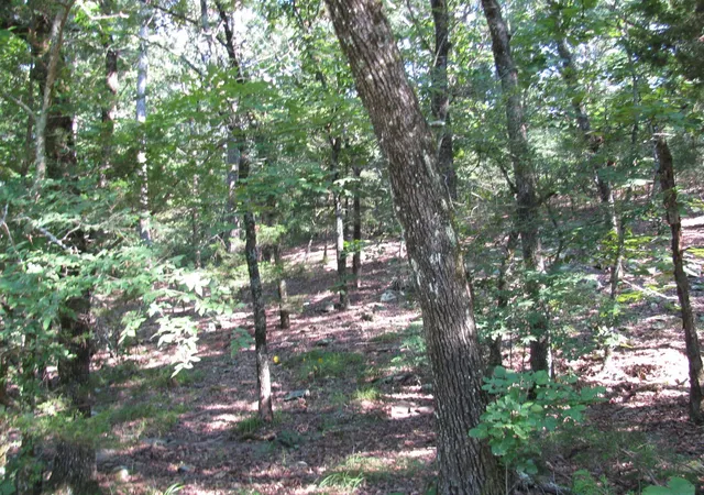 3rd image of Tbd N 4309 Ln, Tuskahoma, OK 74574 | MLS# 20969750