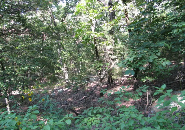 4th image of Tbd N 4309 Ln, Tuskahoma, OK 74574 | MLS# 20969750