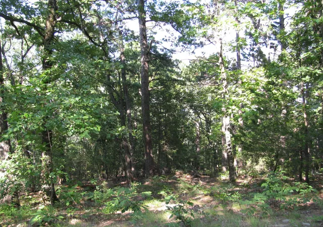 5th image of Tbd N 4309 Ln, Tuskahoma, OK 74574 | MLS# 20969750