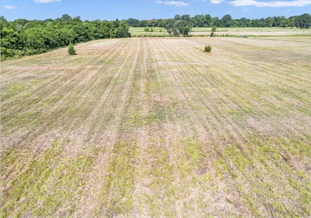 Photo 4 of Land for sale at Tbd County Road 1061, Greenville, TX 75401 | MLS# 20986552 | Listing updated on 2026-09-24