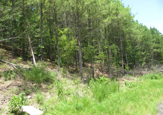 2nd image of Tbd Josee's Journey, Nashoba, OK 74558 | MLS# 20983224