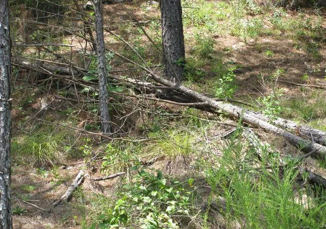 3rd image of Tbd Josee'S Journey, Nashoba, OK 74558 | MLS# 20983224