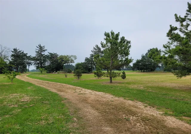 Homes for sale in Detroit, TX | 700 Cr 45900, Detroit, TX 75436 | MLS# 20999382