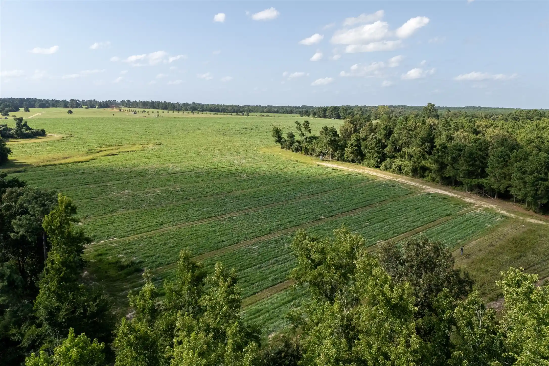 Photo 1 of Sale Pending at 00 County Road 2180, Grapeland, TX 75844 | MLS# 21001177 | Listing updated on 2025-07-17