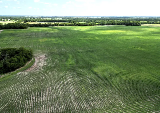 Photo 3 of Land for sale at 48ac Cr 2165, Klondike, TX 75440 | MLS# 21002503 | Listing updated on 2026-07-16