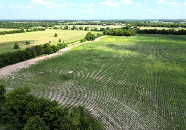 Photo 3 of House for sale at 48Ac Cr 2165, Klondike, TX 75440 | MLS# 21002503 | Listing updated on 2026-07-16