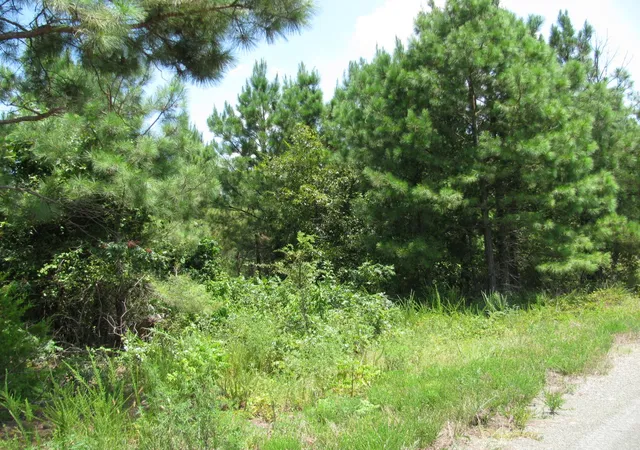 3rd image of Tbd Jace'S Trail, Nashoba, OK 74558 | MLS# 21003493