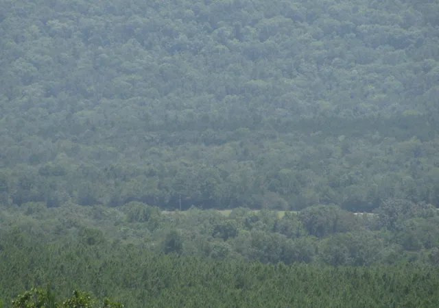4th image of Tbd Jace'S Trail, Nashoba, OK 74558 | MLS# 21003493