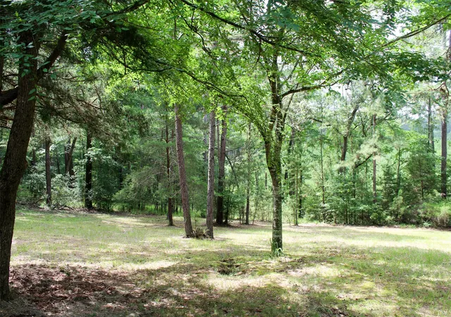 Homes for sale in Grapeland, TX | 2733 County Road 1560, Grapeland, TX 75844 | MLS# 21002910