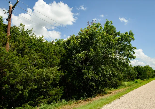Photo 2 of Land for sale at Tbd Fm 901, Sadler, TX 76264 | MLS# 21005203 | Listing updated on 2026-07-14