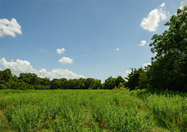 Photo 3 of Land for sale at Tbd Fm 901, Sadler, TX 76264 | MLS# 21005203 | Listing updated on 2026-07-14
