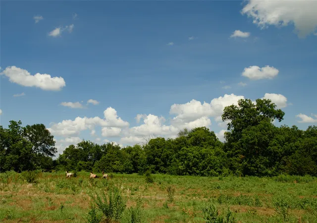 Photo 4 of Land for sale at Tbd Fm 901, Sadler, TX 76264 | MLS# 21005203 | Listing updated on 2026-07-14