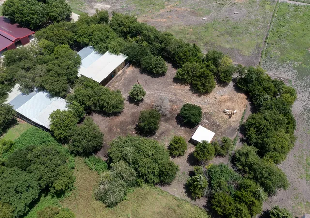 Homes for sale in Palmer, TX | Tbd Palmyra Road, Palmer, TX 75152 | MLS# 20996436