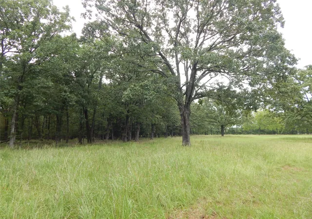 Homes for sale in Bagwell, TX | 14 & 46 Lakeside Estates, Bagwell, TX 75412 | MLS# 21006079